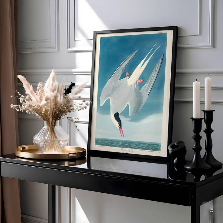 Framed by authentic 19th-century scientific publication text honoring avian heritage, this expressive Arctic Tern 1838 wall art showcases supreme mastery over ornithological illustration. MapYourDreams provides this masterpiece in diverse display styles, ranging from delicate unframed paper posters and precision-crafted framed editions to deep, textured canvas centerpieces.
