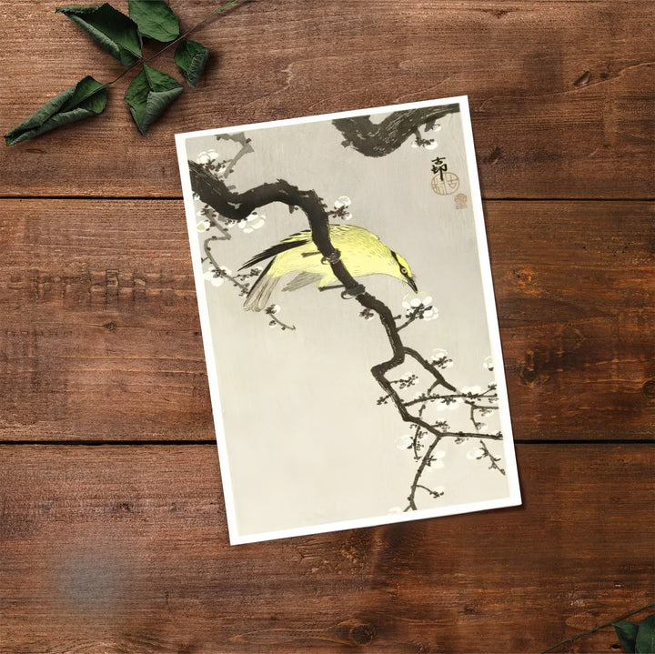 Bright yellow bird canvas print showcasing Ohara Koson vintage 1900 1910 Japanese artwork from Kyoto collections. Buy high-definition framed, unframed, and canvas poster prints directly from MapYourDreams.