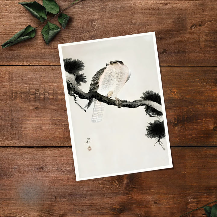 Historic 1900 1930 Japanese bird print by artist Ohara Koson with Ohara Koson signature seal reflecting Tokyo printmaking traditions. Select premium framed, unframed, and canvas wall decor options at MapYourDreams.