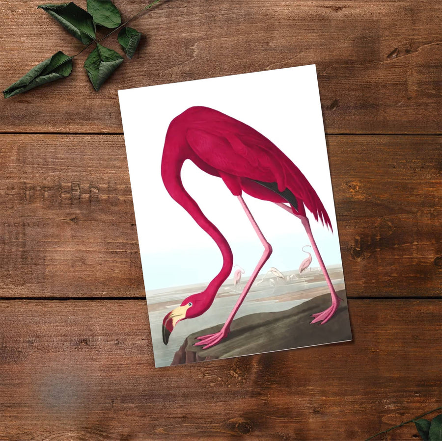 Designed to elevate contemporary home decor with an intellectual edge, this American archival-linked American Flamingo 1838 decor piece pairs refreshing magenta shades with clean lines. Available through MapYourDreams, customize your display using unframed paper art print formats, precision framed units, or durable structural canvas wraps.