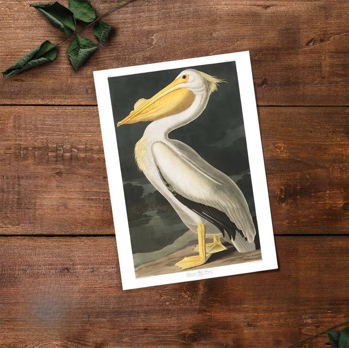 Designed to elevate contemporary home decor with an intellectual edge, this American archival-linked American White Pelican 1838 decor piece pairs contrasting tones with clean architectural lines. Available through MapYourDreams, customize your display using unframed paper art print formats, precision framed units, or durable structural canvas wraps.