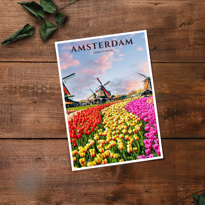 Retro photographic print of tulip fields in bloom before historic windmills in Amsterdam Netherlands, available at MapYourDreams where you can select from unframed paper prints, gallery canvas, or custom framed wall art options for modern botanical home decor setups.