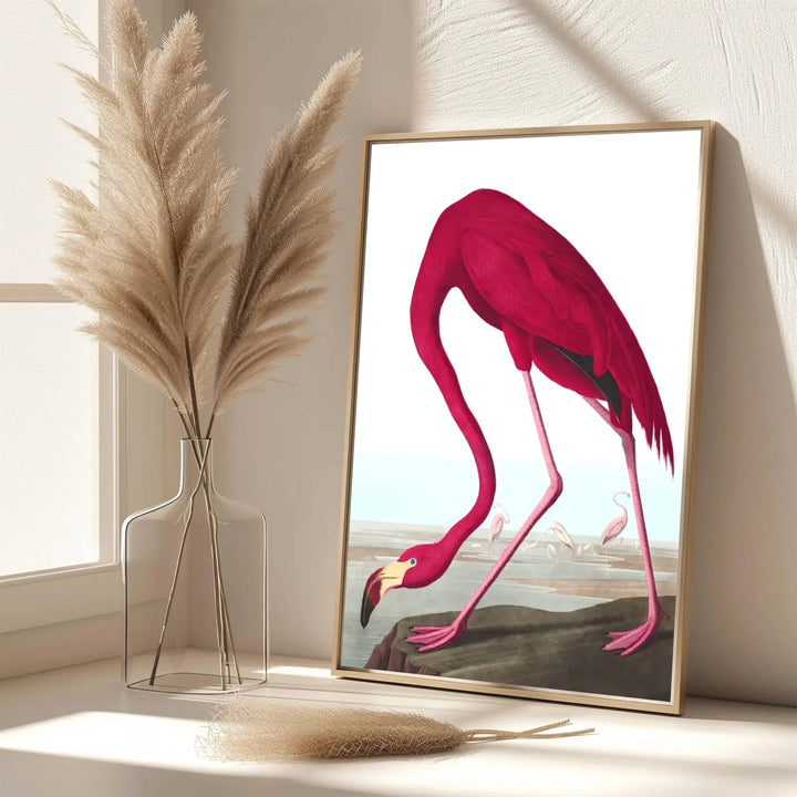 Echoing the sophisticated atmosphere of global design archives and scientific galleries, this captivating American Flamingo 1838 print honors wildlife illustration&