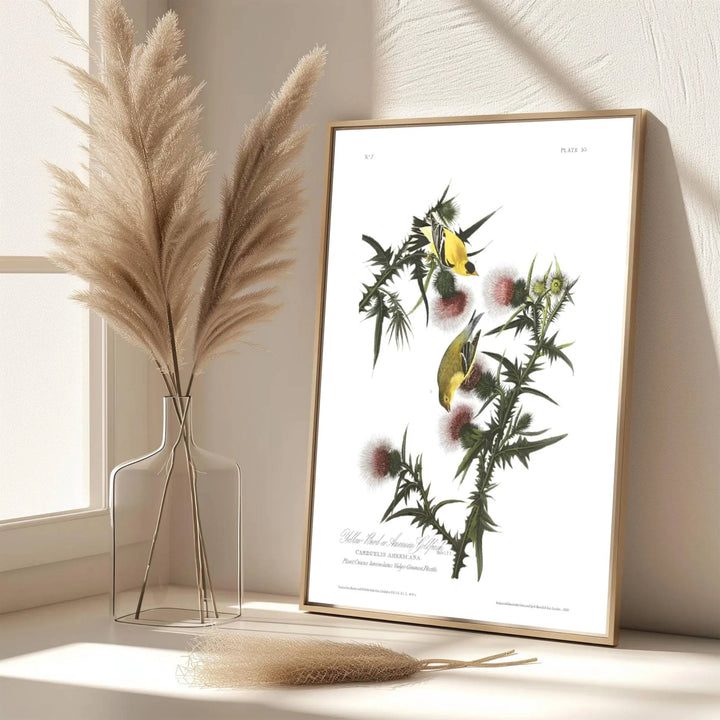 Echoing the sophisticated atmosphere of global design archives and scientific galleries, this captivating American Goldfinch 1838 print honors wildlife illustration&