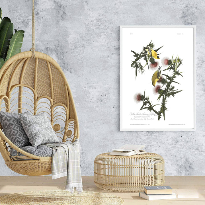 Bringing a touch of classical grace to architectural interiors, this harmonious exhibition piece in the form of an American Goldfinch 1838 poster turns natural history drawings into fine art. Offered by MapYourDreams, you can personalize your layout using unframed paper art print styles, elegant framed setups, or textured gallery canvas wraps.