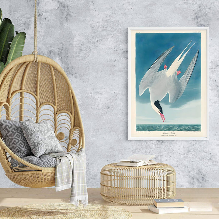 Bringing a touch of classical grace to architectural interiors, this harmonious exhibition piece in the form of an Arctic Tern 1838 poster turns natural history drawings into fine art. Offered by MapYourDreams, you can personalize your layout using unframed paper art print styles, elegant framed setups, or textured gallery canvas wraps.