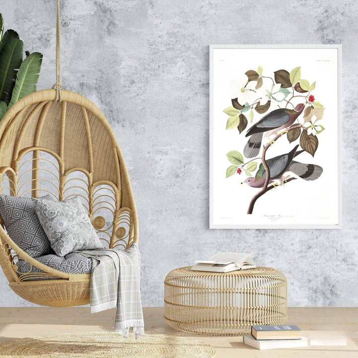 Bringing a touch of classical grace to architectural interiors, this harmonious exhibition piece in the form of an Band-Tailed Pigeon 1838 poster turns natural history drawings into fine art. Offered by MapYourDreams, you can personalize your layout using unframed paper art print styles, elegant framed setups, or textured gallery canvas wraps.
