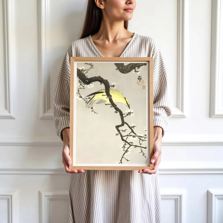 Soft cream background 1900 1910 vintage Japanese wall art showing a songbird on plum branches from a historic Kyoto collection. Browse archival framed, unframed, and canvas poster choices at MapYourDreams.