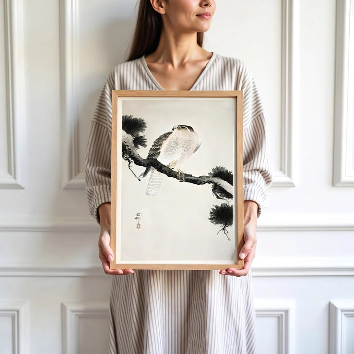 High-definition 1900 1930 Japanese Kacho-ga print of Ohara Koson raptor artwork by artist Ohara Koson referencing Tokyo art gallery exhibits. Order custom framed, unframed, and canvas print options at MapYourDreams.