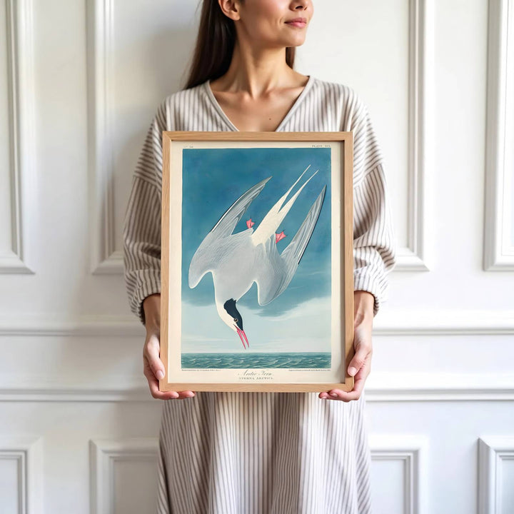Highlighting vibrant watercolor gradients and a deeply calming ocean palette from American museum archives, this historic Arctic Tern 1838 wall art adds instant sophistication. MapYourDreams accommodates diverse styling preferences with flexible choices, including unframed paper prints, custom framed finishes, and premium gallery canvas wraps.