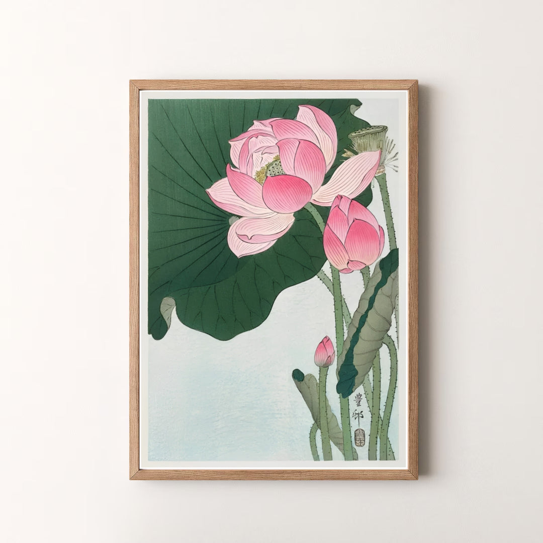 Beautiful Japanese woodblock print featuring blooming lotus flowers in a pond style inspired by Kamakura garden traditions. MapYourDreams offers versatile framed, unframed, and canvas print options.