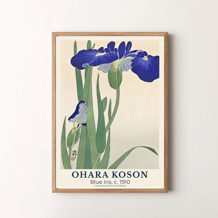 Beautiful 1910 Japanese woodblock print featuring blooming blue iris flowers inspired by collections at The Rijksmuseum, Amsterdam. MapYourDreams offers versatile framed, unframed, and canvas print options.