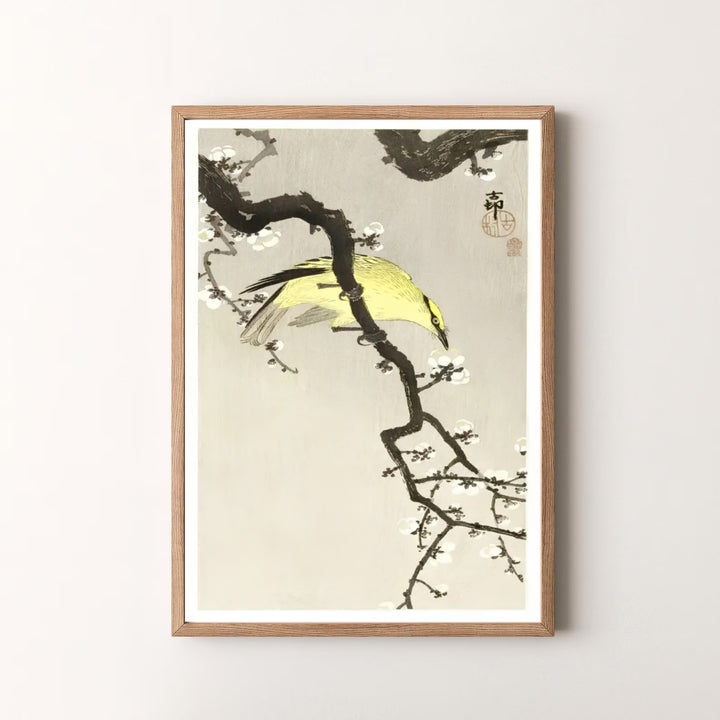 High-definition 1900 1910 Japanese Kacho-ga print of Ohara Koson bird artwork referencing Tokyo art gallery exhibits. Order custom framed, unframed, and canvas print options at MapYourDreams.