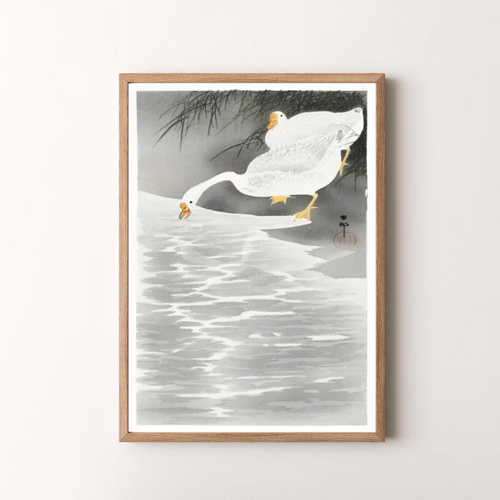 Beautiful 1900 1930 Japanese woodblock print by artist Ohara Koson featuring white geese in a misty lake shore style inspired by Kamakura garden traditions. MapYourDreams offers versatile framed, unframed, and canvas print options.