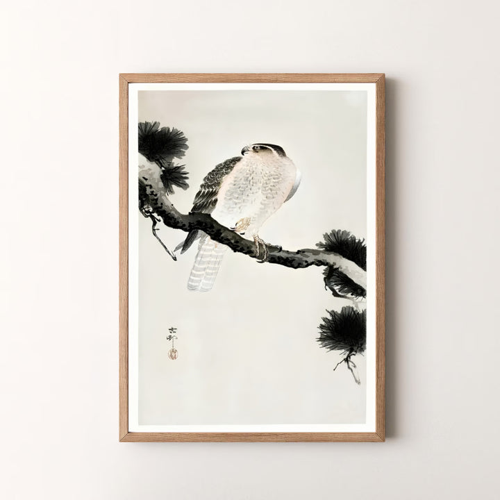 Beautiful 1900 1930 Japanese woodblock print by artist Ohara Koson featuring a hawk in an alpine forest style inspired by Kamakura garden traditions. MapYourDreams offers versatile framed, unframed, and canvas print options.