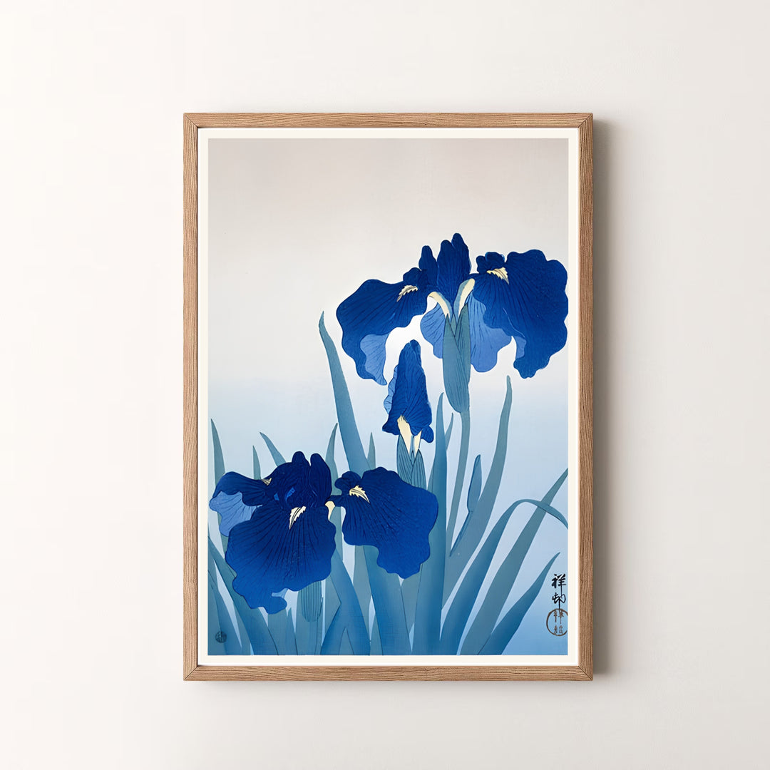Beautiful Japanese woodblock print by artist Ohara Koson featuring blue irises in a summer garden style inspired by Kamakura garden traditions. MapYourDreams offers versatile framed, unframed, and canvas print options.