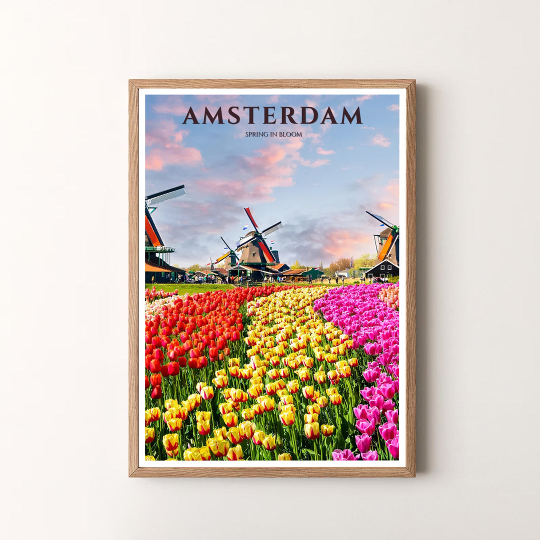 Bold floral art piece detailing bright red yellow and pink tulips blooming beside historic windmills in the Netherlands, available at MapYourDreams as an unframed print, a stretched canvas, or custom framing options to complement statement floral wall setups.