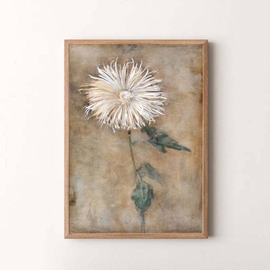 Masterfully balancing delicate white floral details with a warm sepia field, this Piet Mondrian Chrysanthemum botanical print is a timeless celebration of art history. MapYourDreams delivers this exquisite Piet Mondrian Chrysanthemum wall decor in adaptable formats, allowing you to choose between unframed prints, custom frames, and gallery-quality canvas wraps.